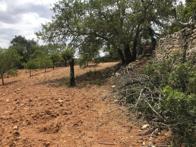 Terreno para Venda em Boliqueime Foto 9
