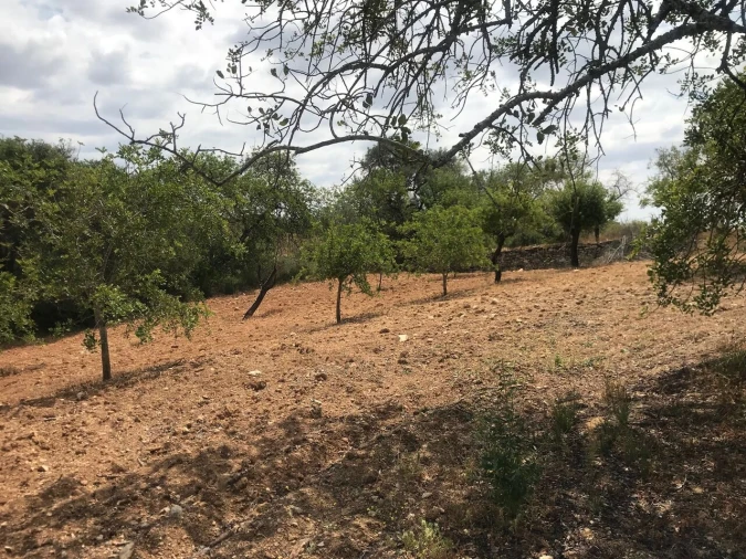 Terreno para Venda em Boliqueime Foto 10