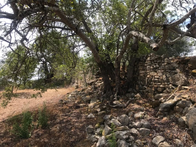 Terreno para Venda em Boliqueime Foto 11