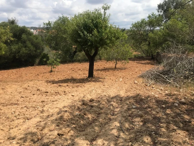 Terreno para Venda em Boliqueime Foto 13