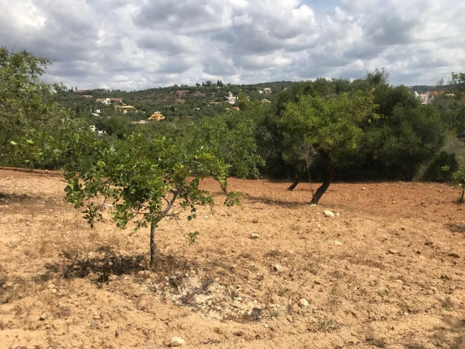 Terreno para Venda em Boliqueime Foto 14