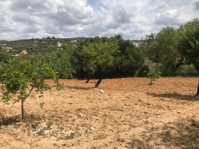 Terreno para Venda em Boliqueime Foto 15