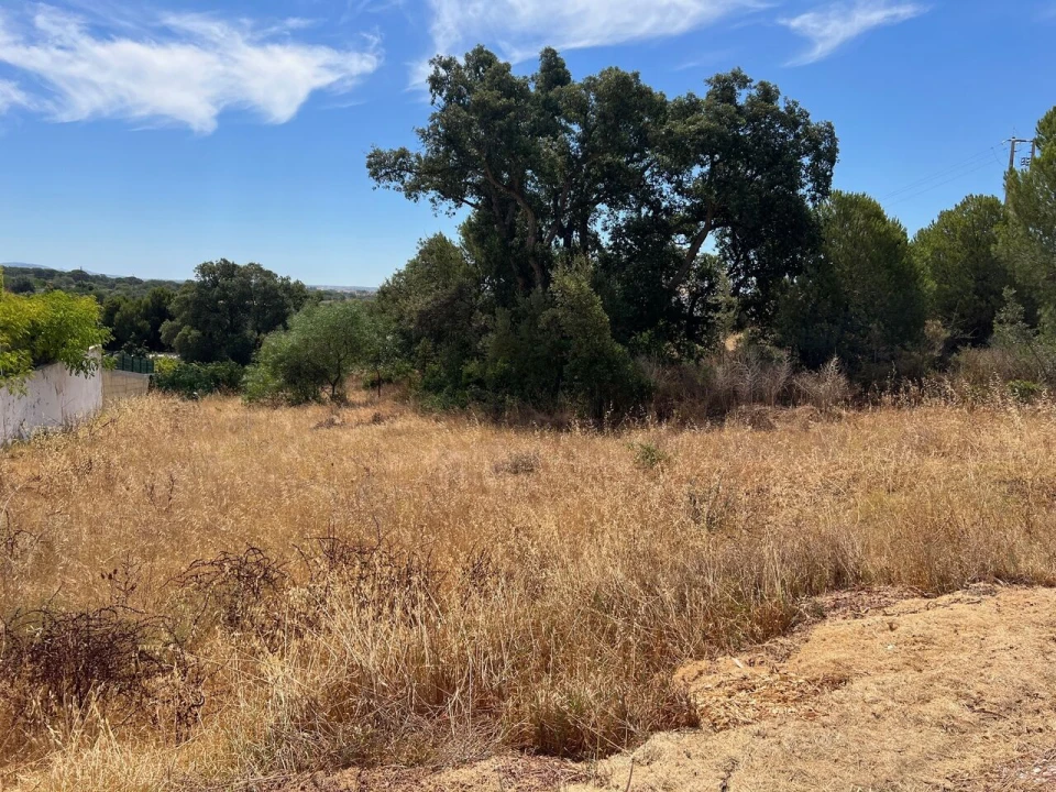 Terreno para Venda em Albufeira e Olhos de Água Foto 13