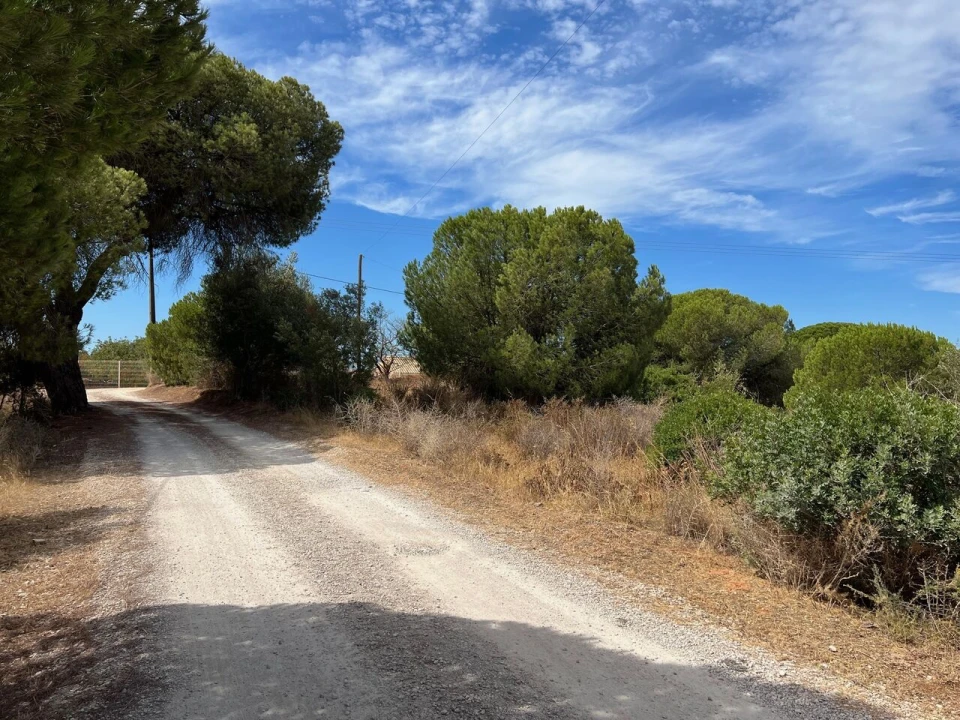 Terreno para Venda em Albufeira e Olhos de Água Foto 16