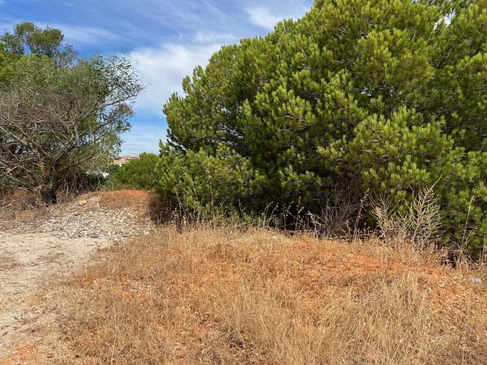 Terreno para Venda em Albufeira e Olhos de Água Foto 19