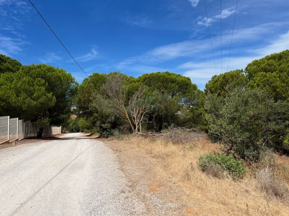 Terreno para Venda em Albufeira e Olhos de Água Foto 21