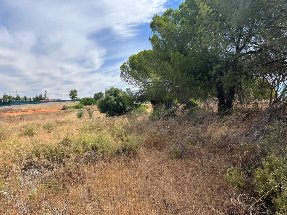 Terreno para Venda em Albufeira e Olhos de Água Foto 27