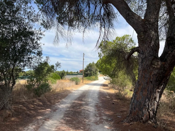 Terreno para Venda em Albufeira e Olhos de Água Foto 5