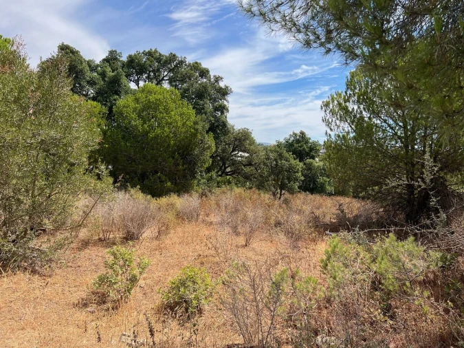 Terreno para Venda em Albufeira e Olhos de Água Foto 10