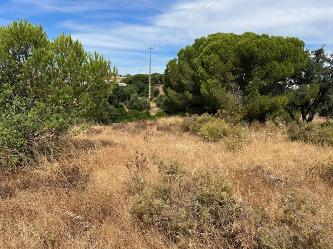 Terreno para Venda em Albufeira e Olhos de Água Foto 26
