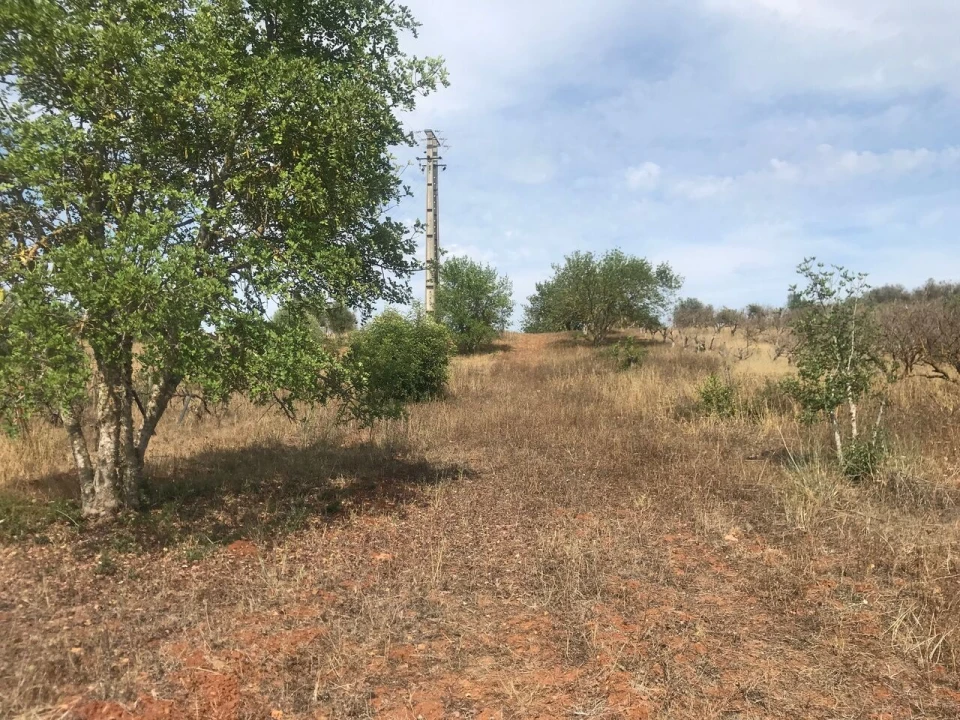 Terreno para Venda em Paderne Foto 5