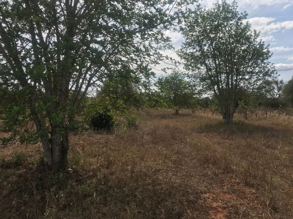 Terreno para Venda em Paderne Foto 11