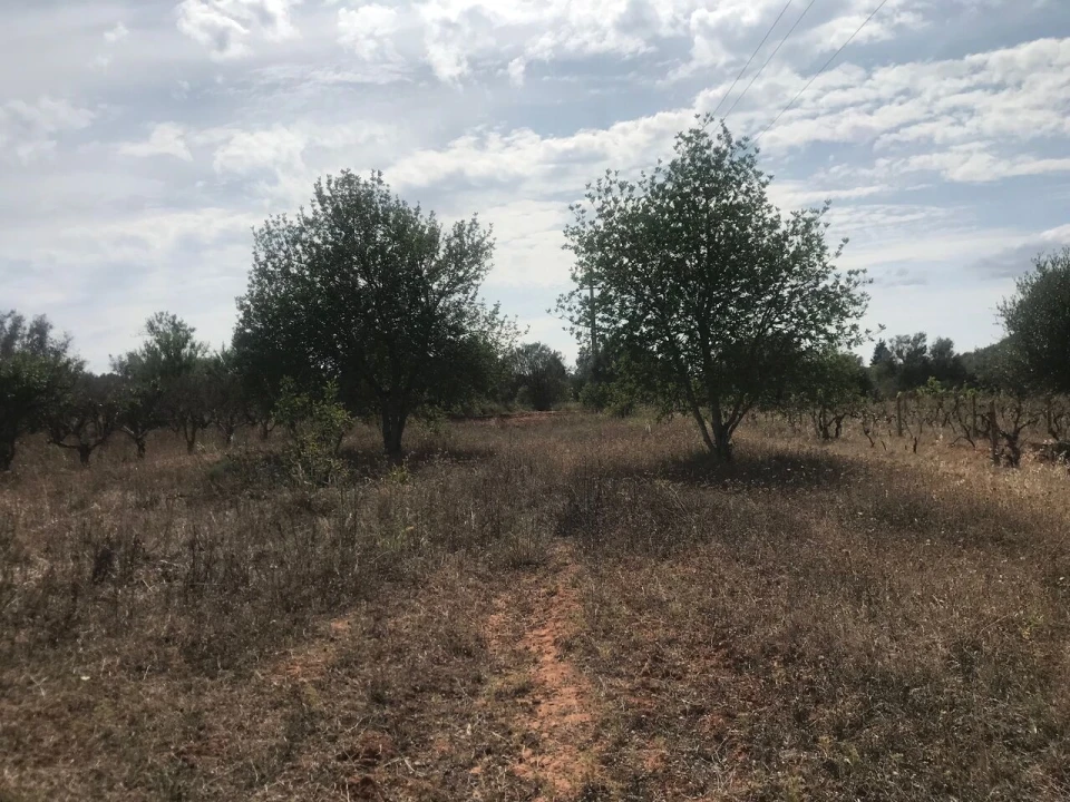 Terreno para Venda em Paderne Foto 12