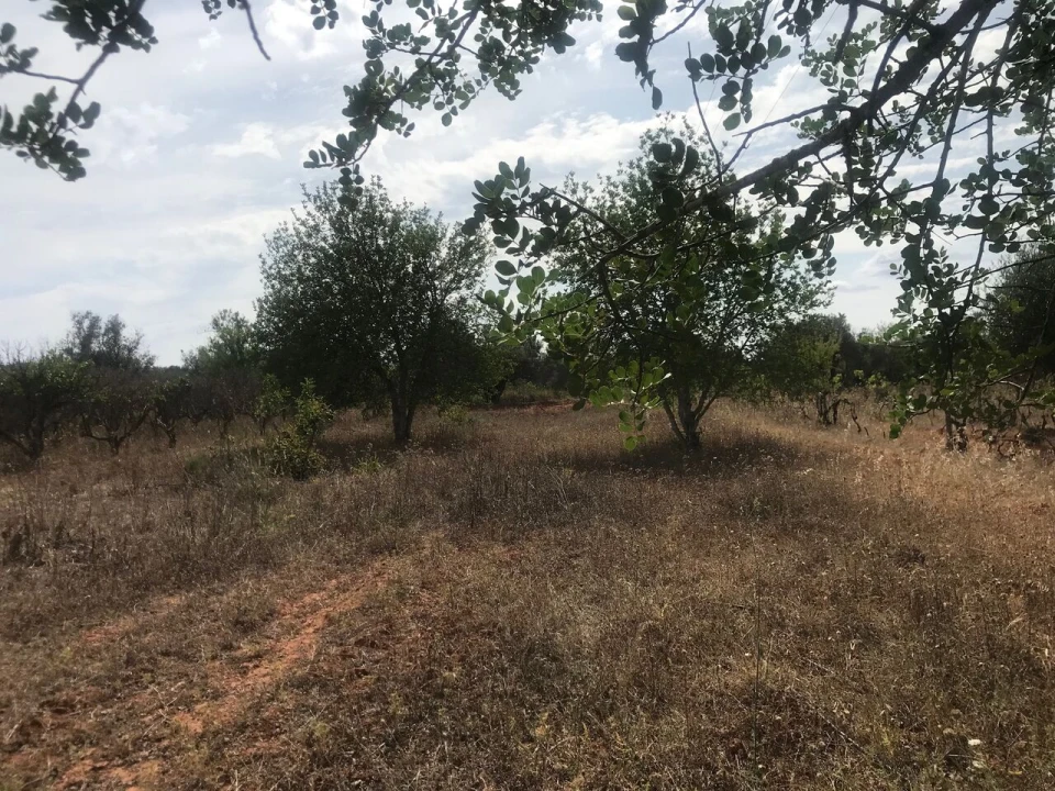 Terreno para Venda em Paderne Foto 14