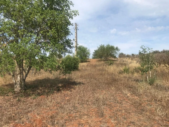 Terreno para Venda em Paderne Foto 5