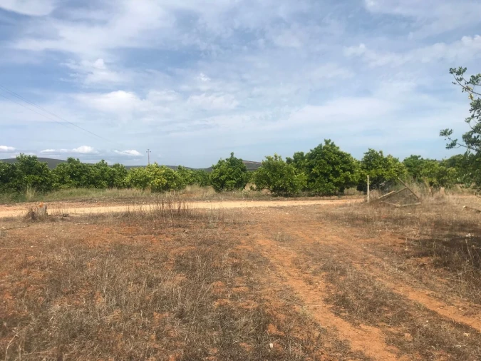 Terreno para Venda em Paderne Foto 8