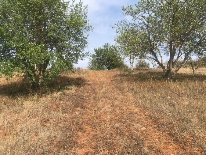 Terreno para Venda em Paderne Foto 3