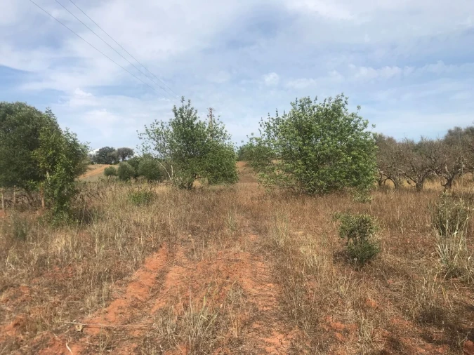 Terreno para Venda em Paderne Foto 9