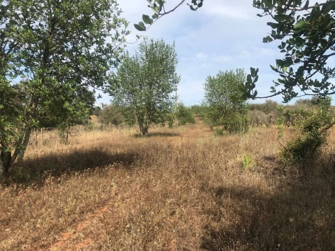 Terreno para Venda em Paderne Foto 2