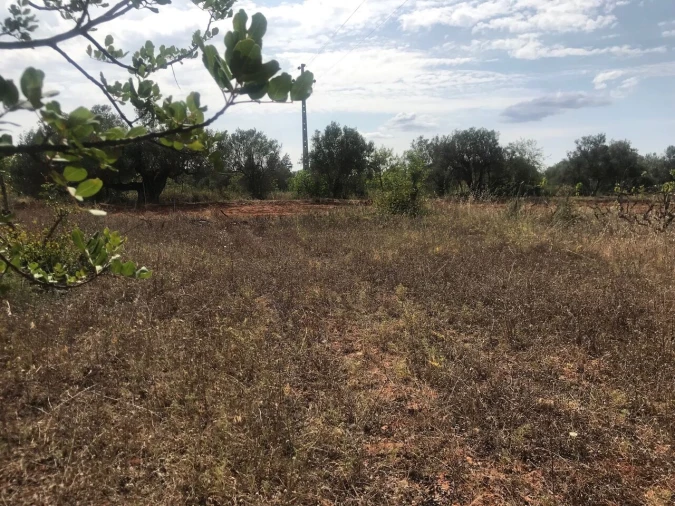 Terreno para Venda em Paderne