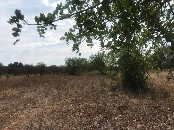 Terreno para Venda em Paderne Foto 10