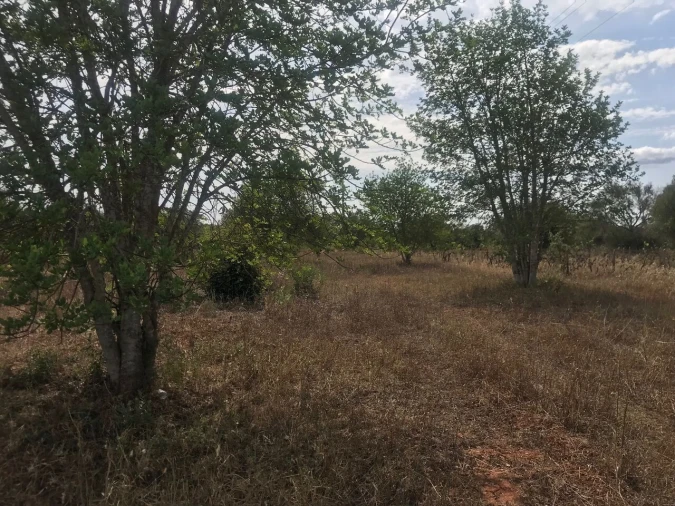 Terreno para Venda em Paderne Foto 11