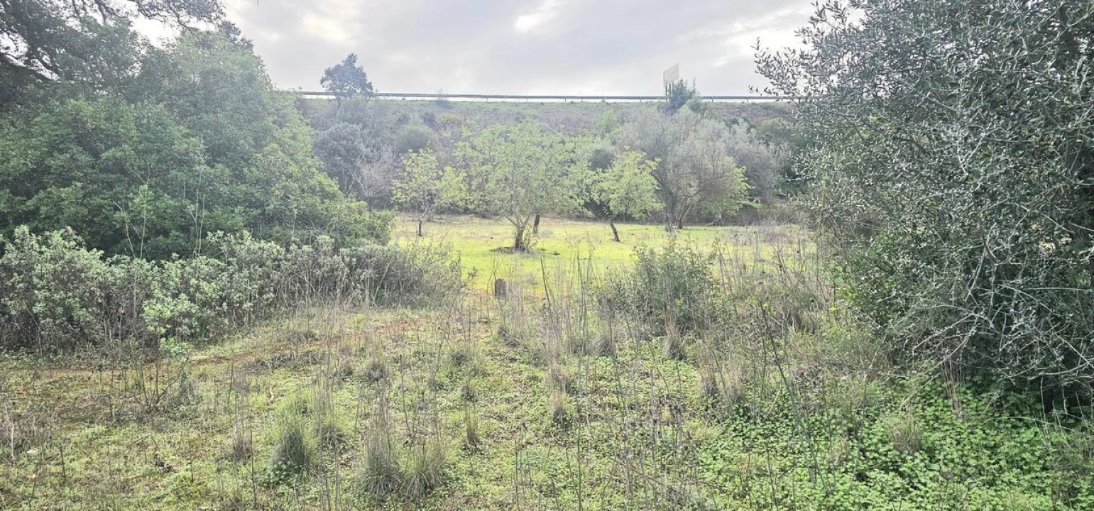Terreno para Venda em Paderne Foto 1