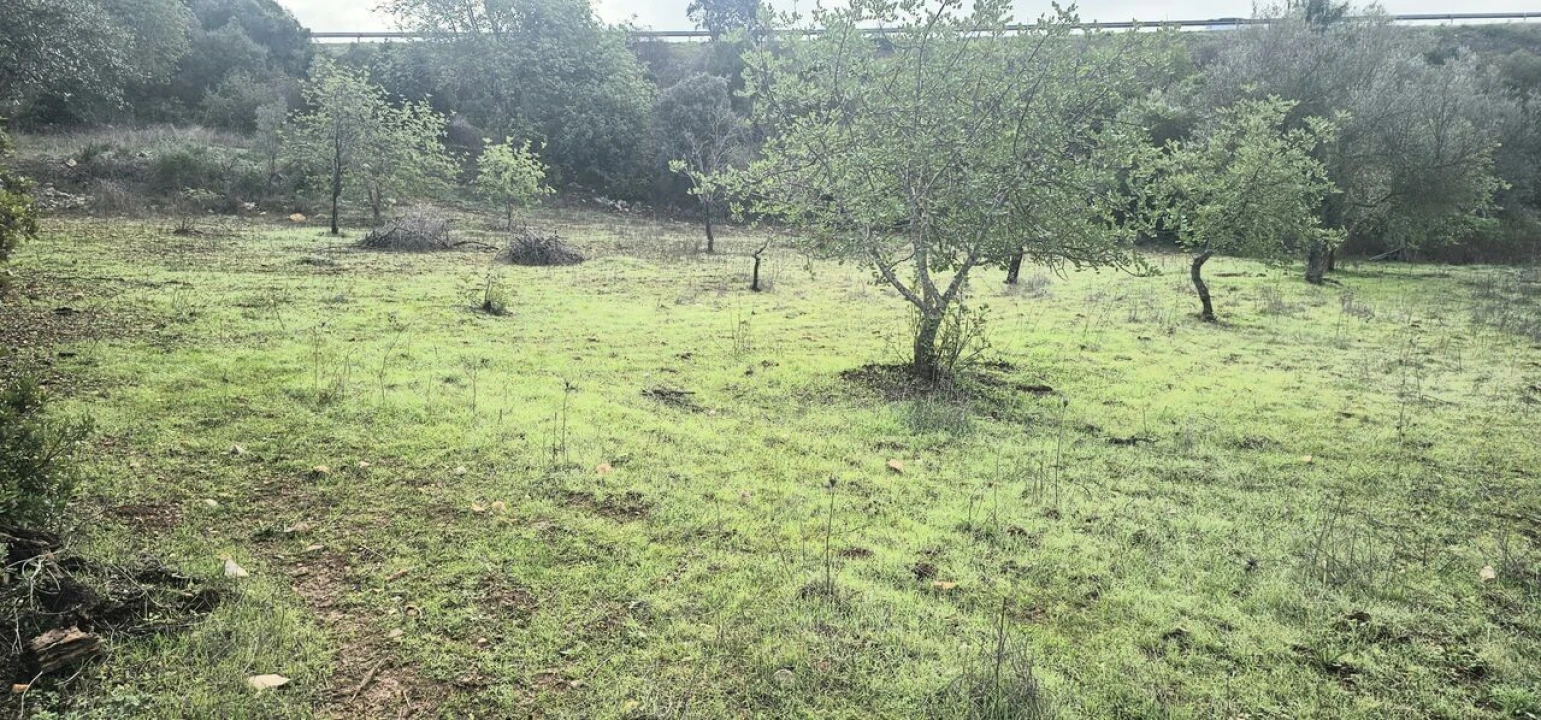 Terreno para Venda em Paderne Foto 2
