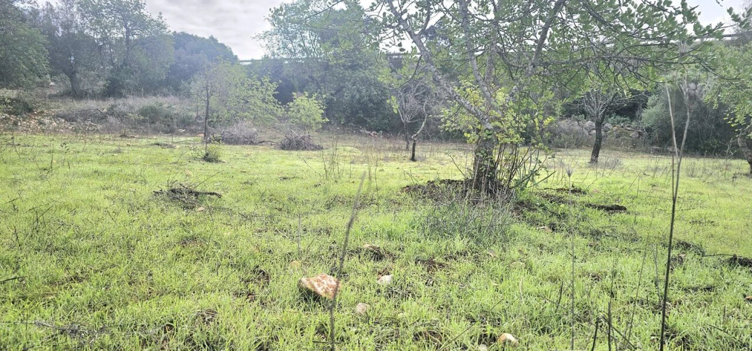 Terreno para Venda em Paderne Foto 5