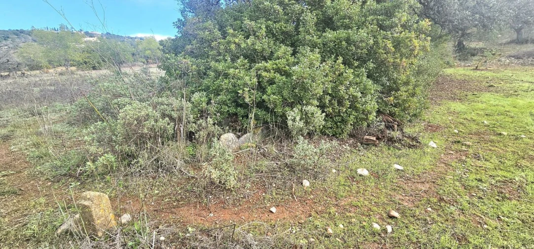 Terreno para Venda em Paderne Foto 3