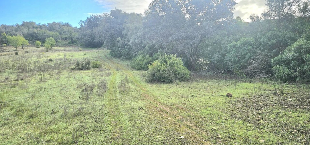 Terreno para Venda em Paderne Foto 4