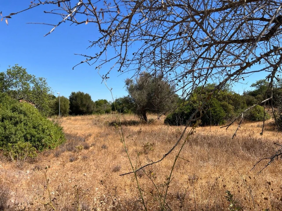 Terreno para Venda em Ferreiras Foto 1