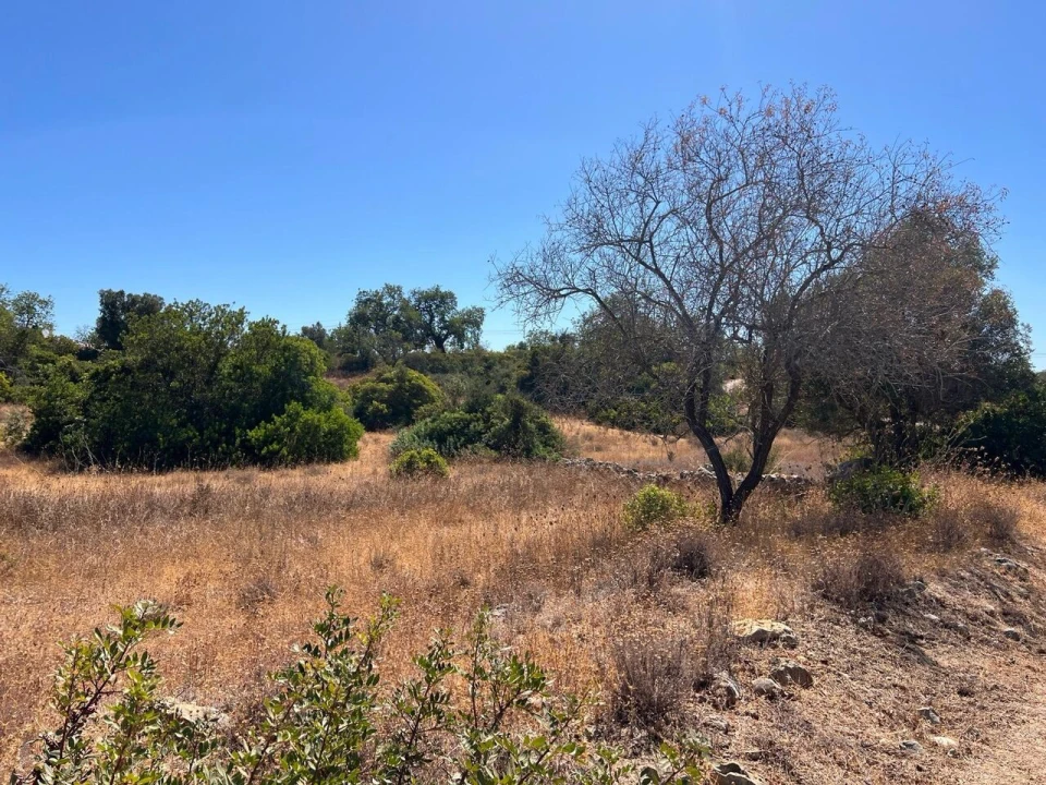 Terreno para Venda em Ferreiras Foto 11