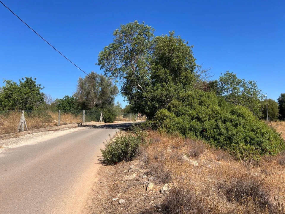 Terreno para Venda em Ferreiras Foto 15