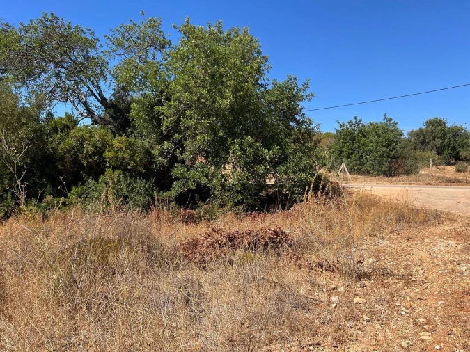 Terreno para Venda em Ferreiras Foto 14