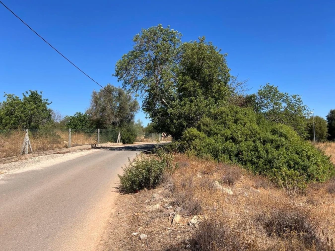 Terreno para Venda em Ferreiras Foto 15