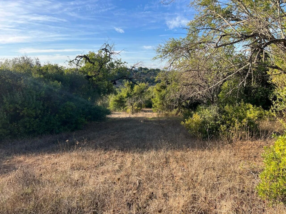 Terreno para Venda em Paderne Foto 2