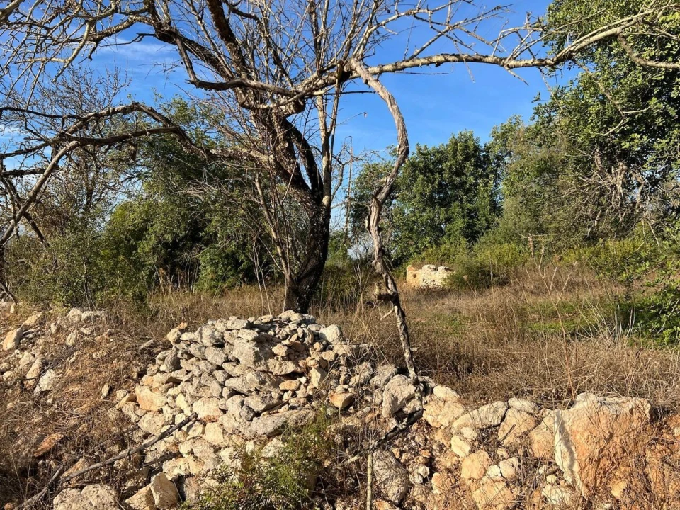 Terreno para Venda em Paderne Foto 1