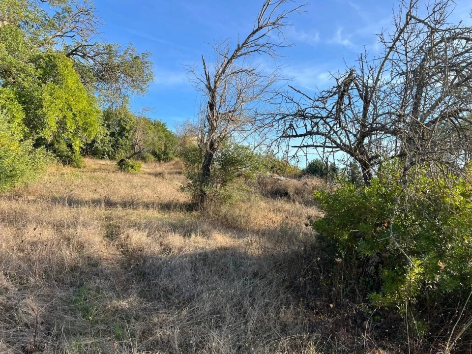 Terreno para Venda em Paderne Foto 5
