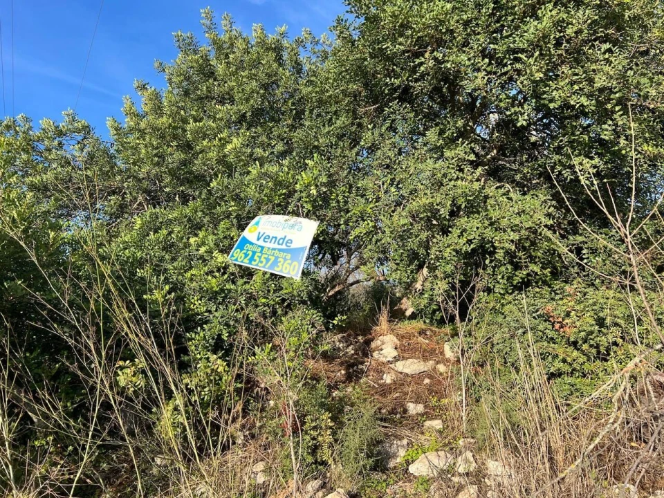 Terreno para Venda em Paderne Foto 9