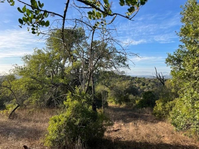 Terreno para Venda em Paderne Foto 3