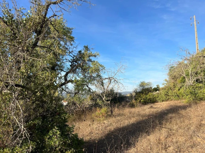 Terreno para Venda em Paderne Foto 6