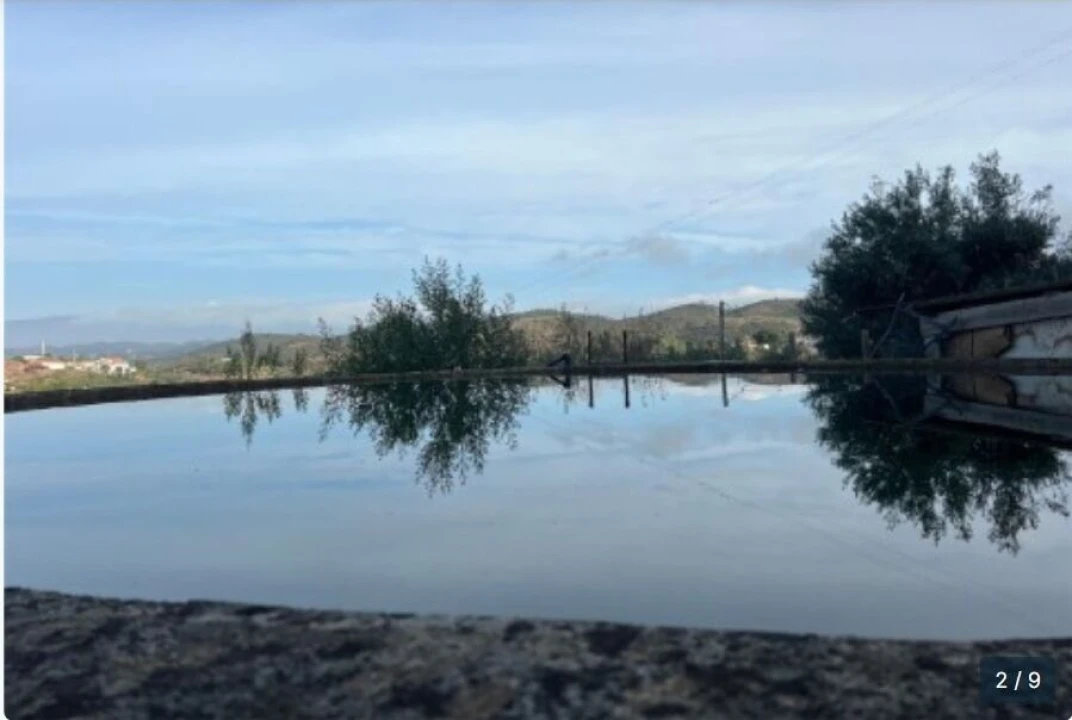 Terreno para Venda em Silves Foto 5