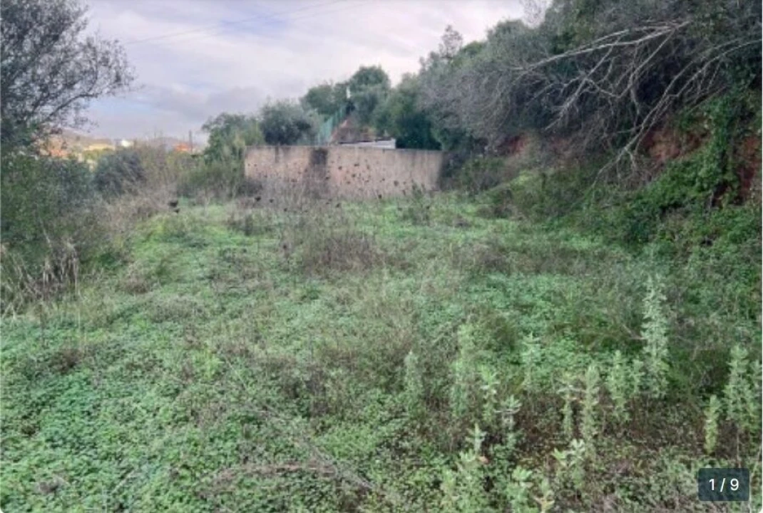 Terreno para Venda em Silves Foto 6