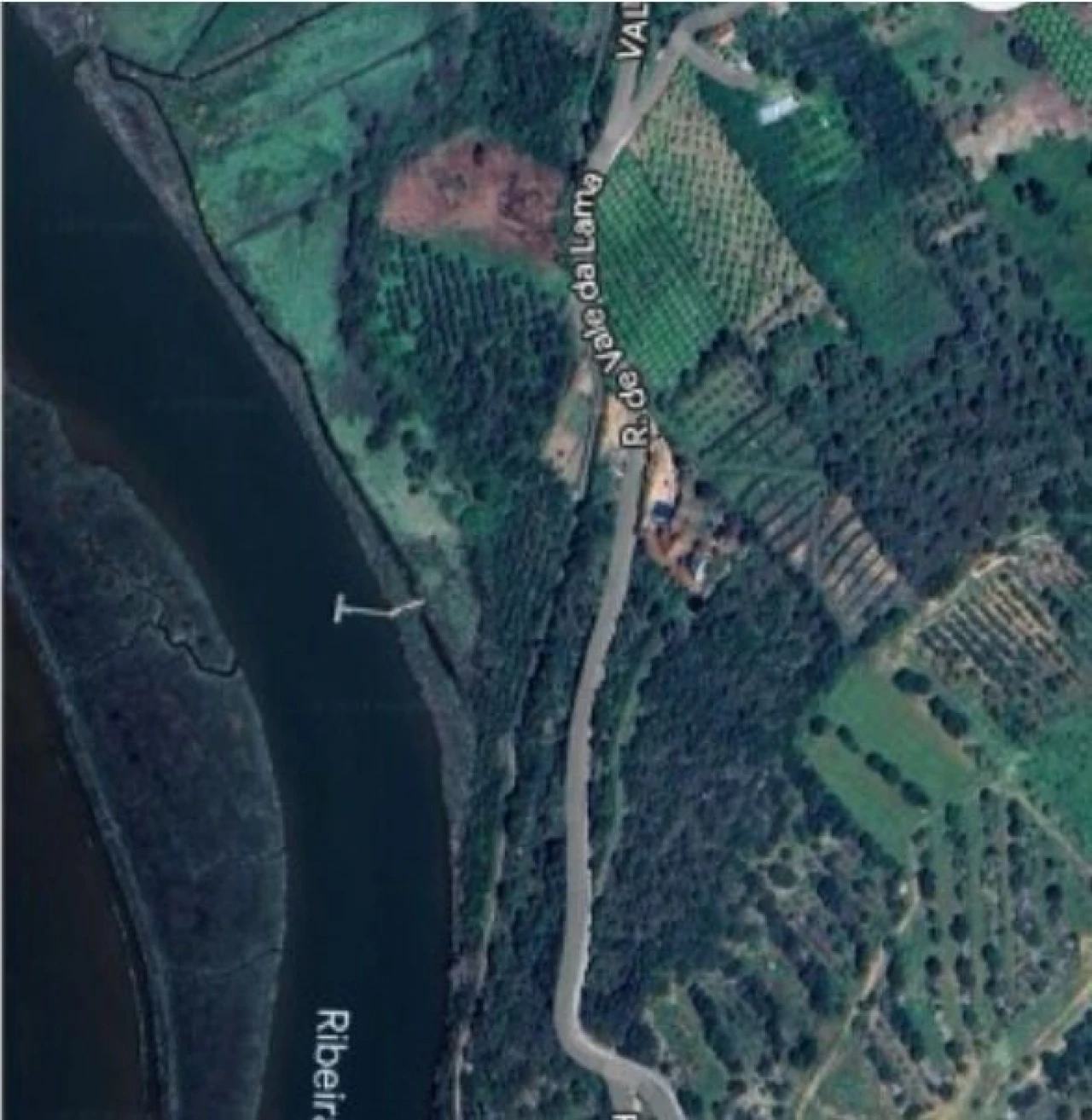 Terreno para Venda em Silves Foto 8
