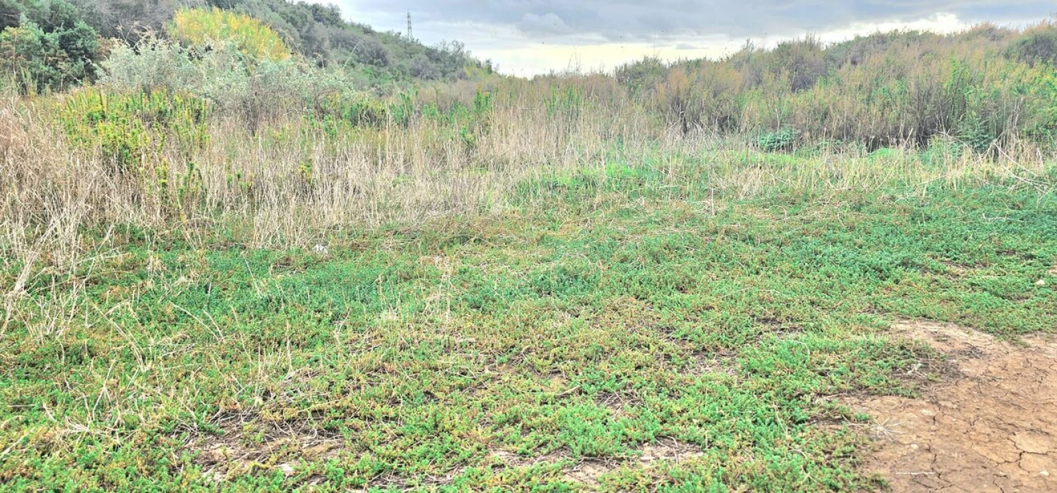 Terreno para Venda em Silves Foto 12