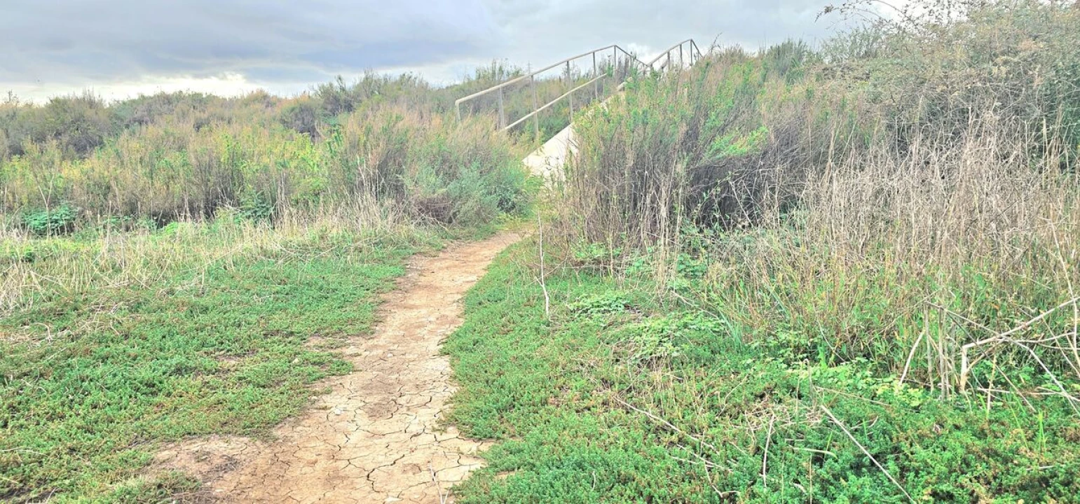 Terreno para Venda em Silves Foto 11