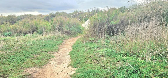 Terreno para Venda em Silves