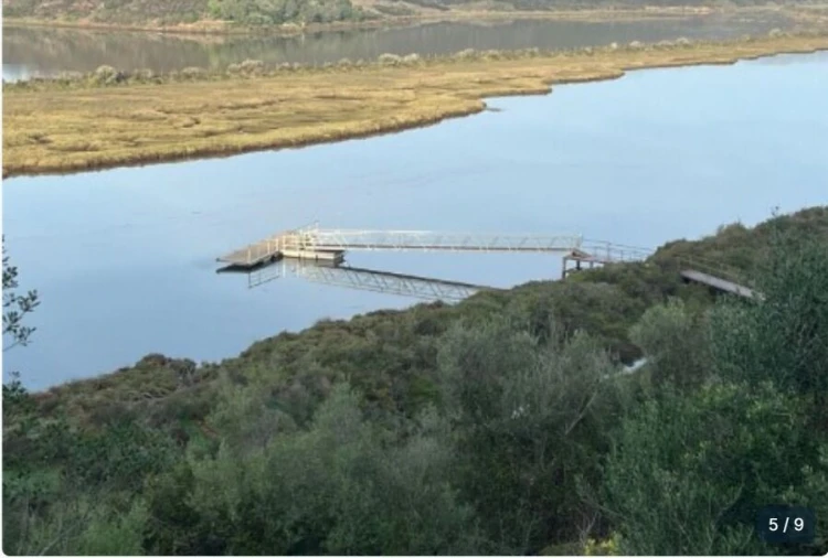 Terreno para Venda em Silves Foto 3
