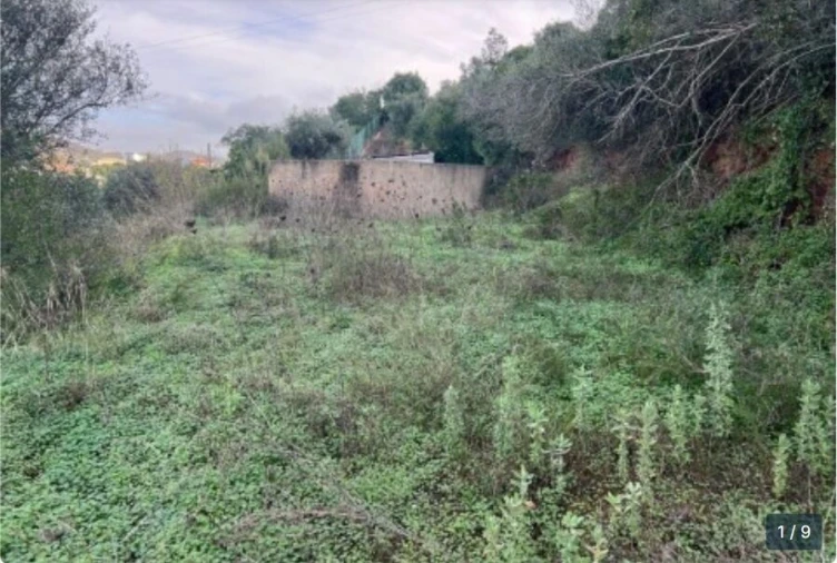 Terreno para Venda em Silves Foto 6